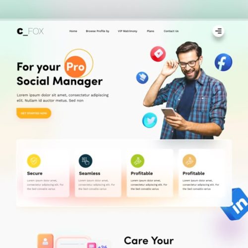Website Design For Web Social Media agency (1)